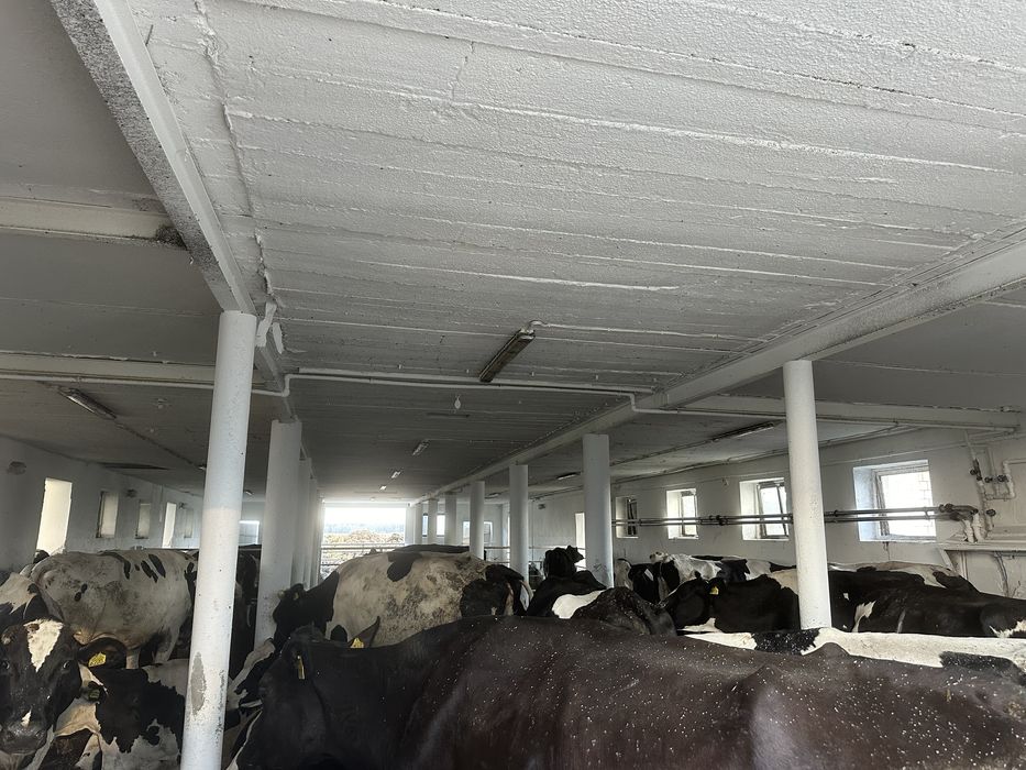 Mycie Fotowoltaiki obory chlewni kurników dachu nacinanie ruszt