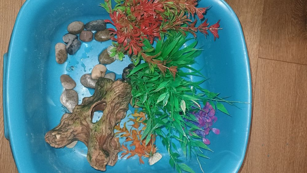 Akcesoria do akwarium z rybkami komplet.