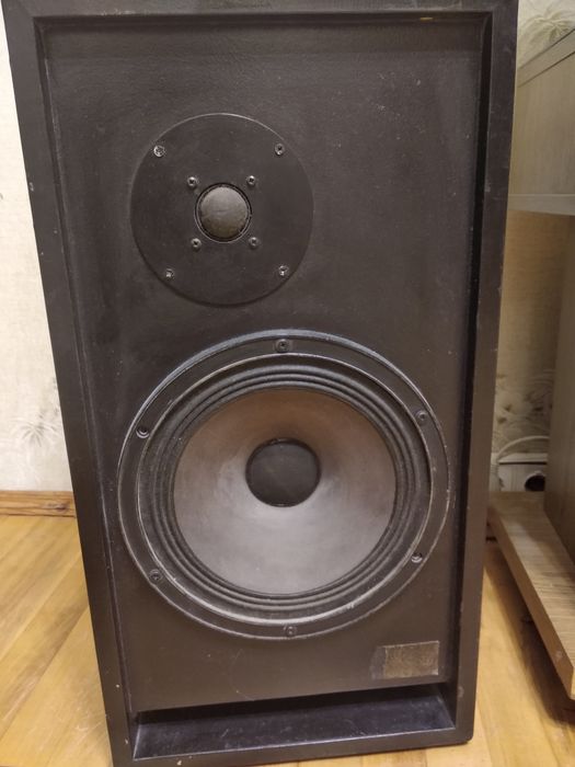 Большая напольная акустика Opal 100 вт.