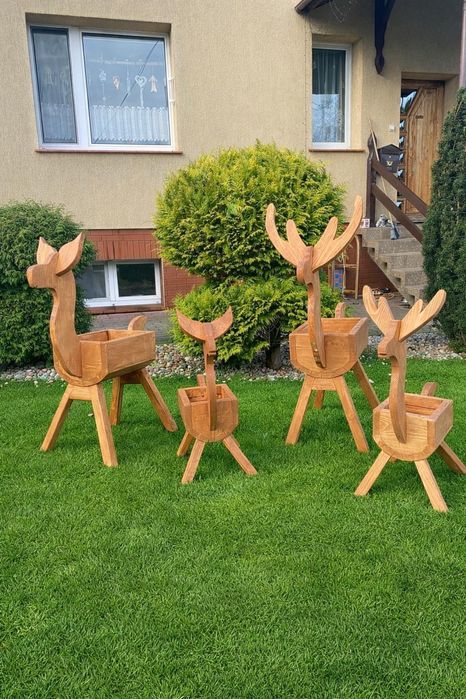 Koziołki sarenki ogrodowe