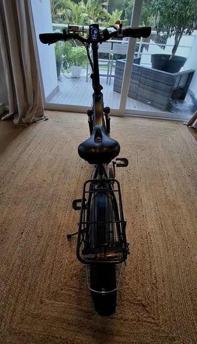 Bicicleta eléctrica