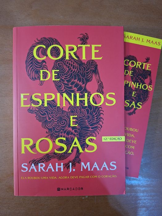Corte de Espinhos e Rosas