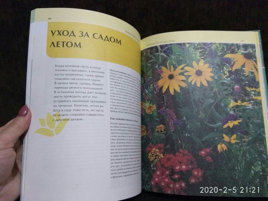 Йоахим Майер - Ваш сад