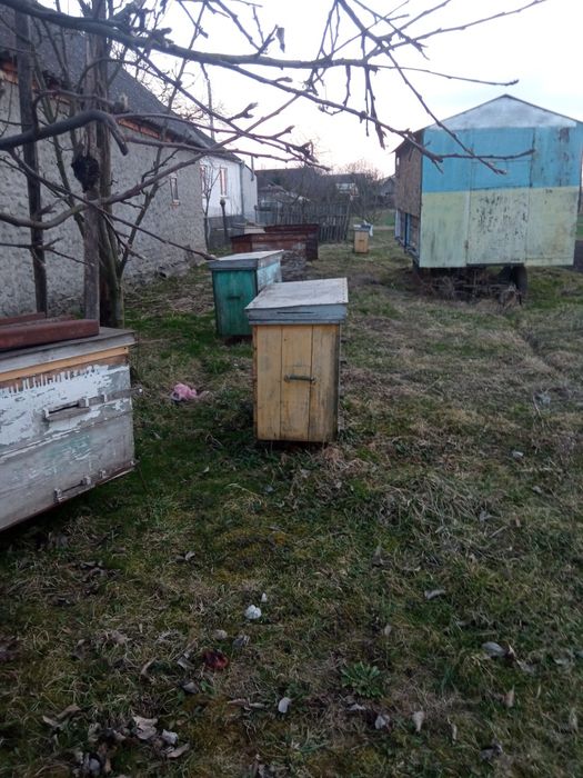 Пасіка. Вулики. Інвентар