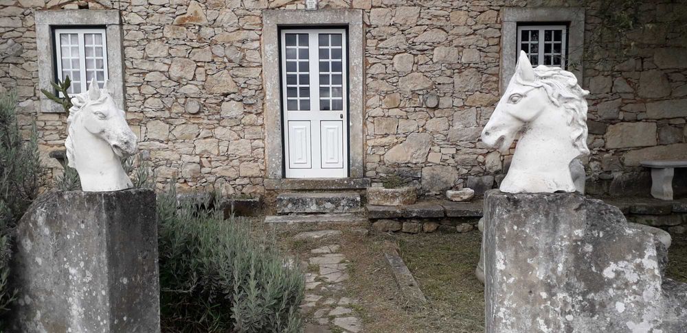 Cabeças de cavalo esculpidas em pedra  50 cm de altura