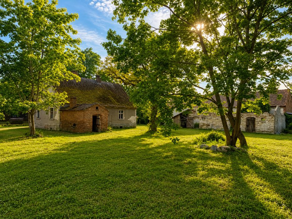 Dom – Bronków - Widok 4