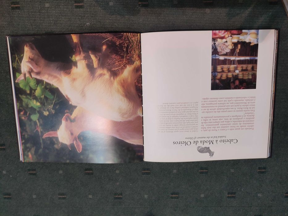 Comer em Português - José Quitério/Homem Cardoso