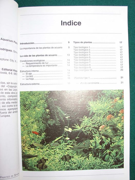 Las Plantas de Acuario