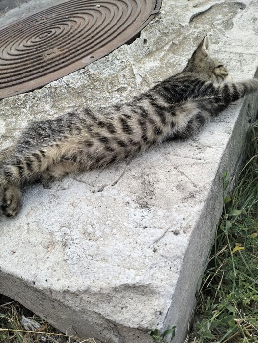 Малеча шукає родину