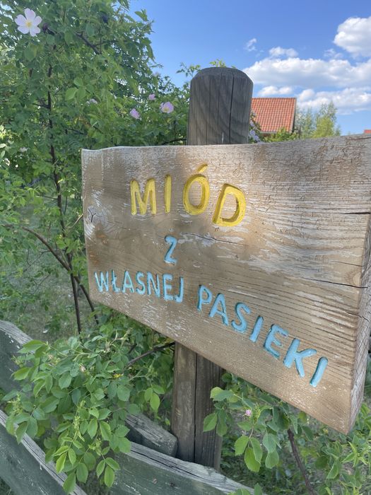 Mazury pokoje noclegi agroturystyka Mikolajki  staw