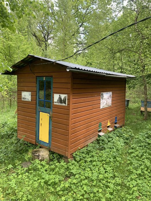 Апібудинок сон на вуликах