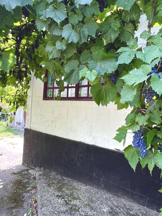 Продається будинок поруч з базаром!