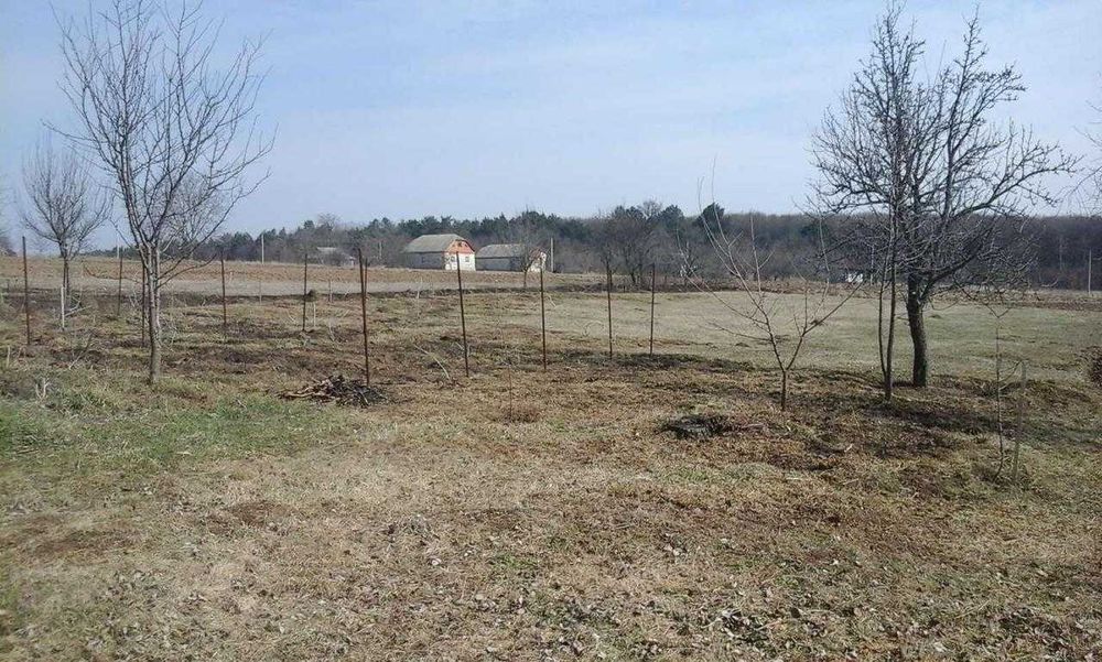 Продаю будинок в с. Нова Гута Кам'янець-Подільського району