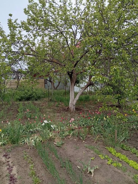 Продам 2-этажную дачу в г. Теплодар