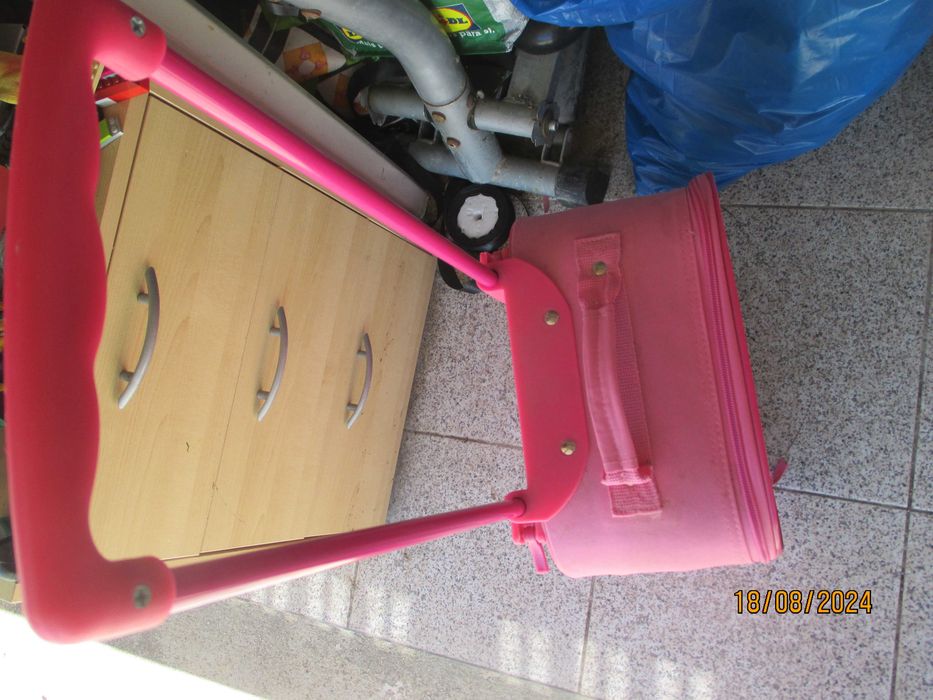 Trolley para criança - Elsa and Anna