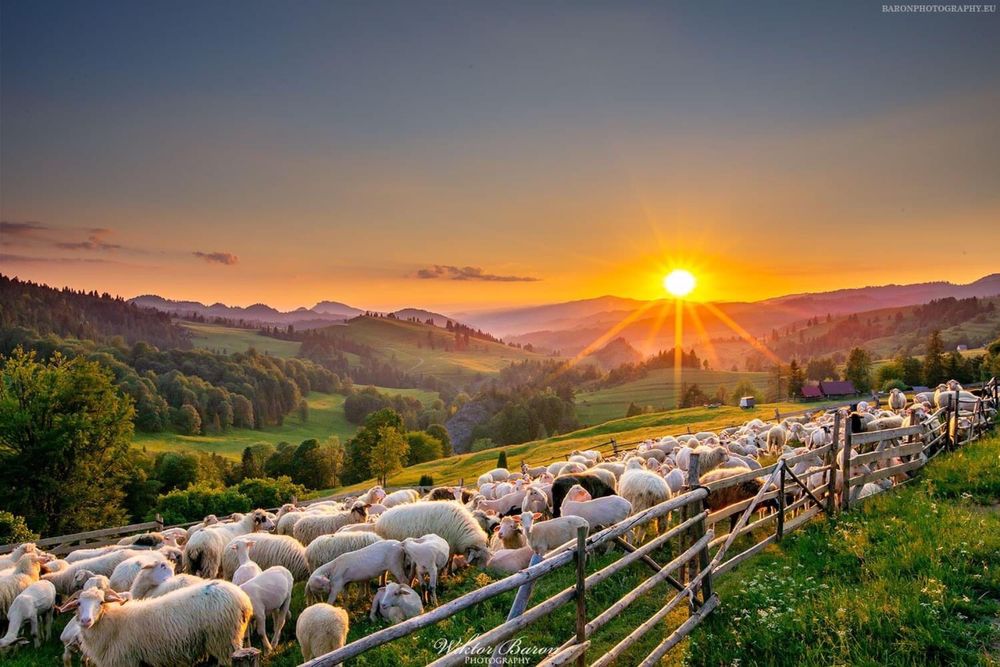 Dom, sauna, nocleg w gorach, apartamenty, pokoje z widokiem na gory