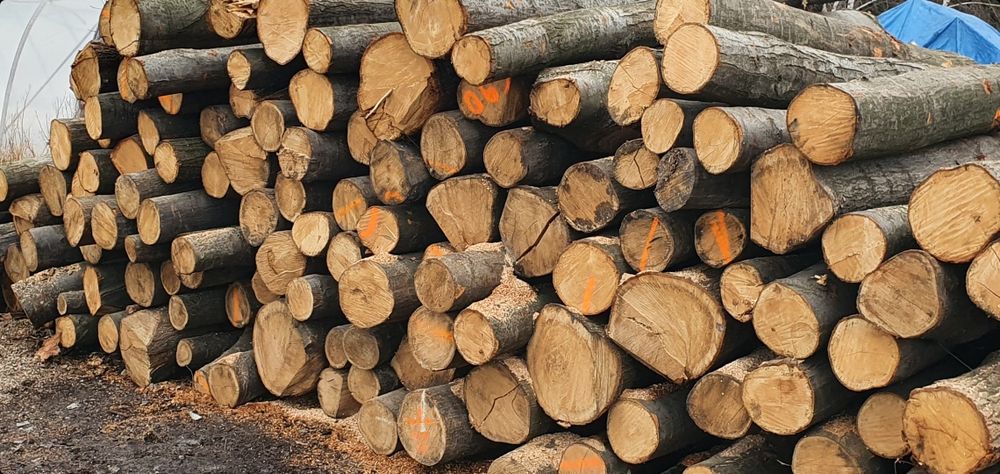 Drewno Opałowe/ Kominkowe PROMOCJA!