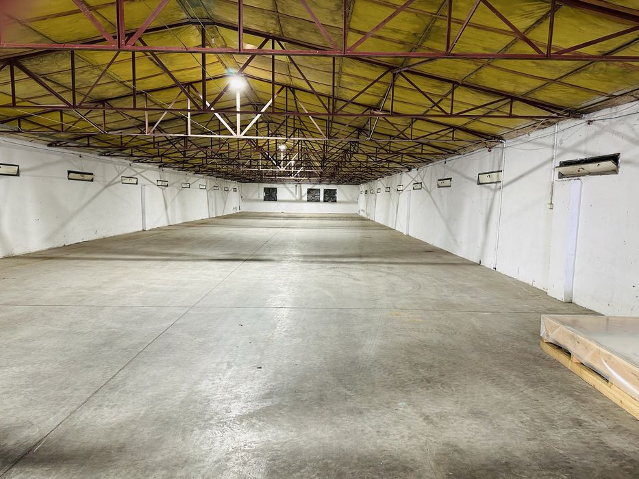 Wynajme hale , magazyn 800 m2