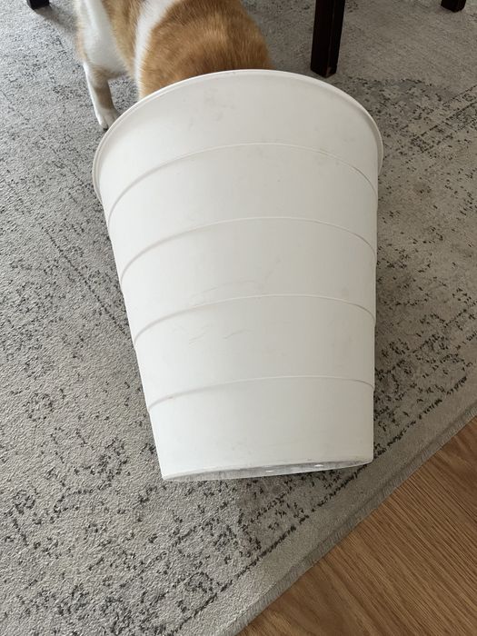 FNISS caixote branco