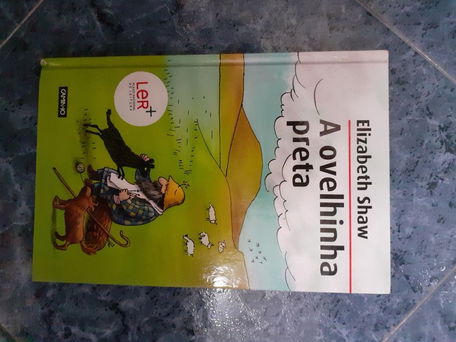 Livros diversos usados