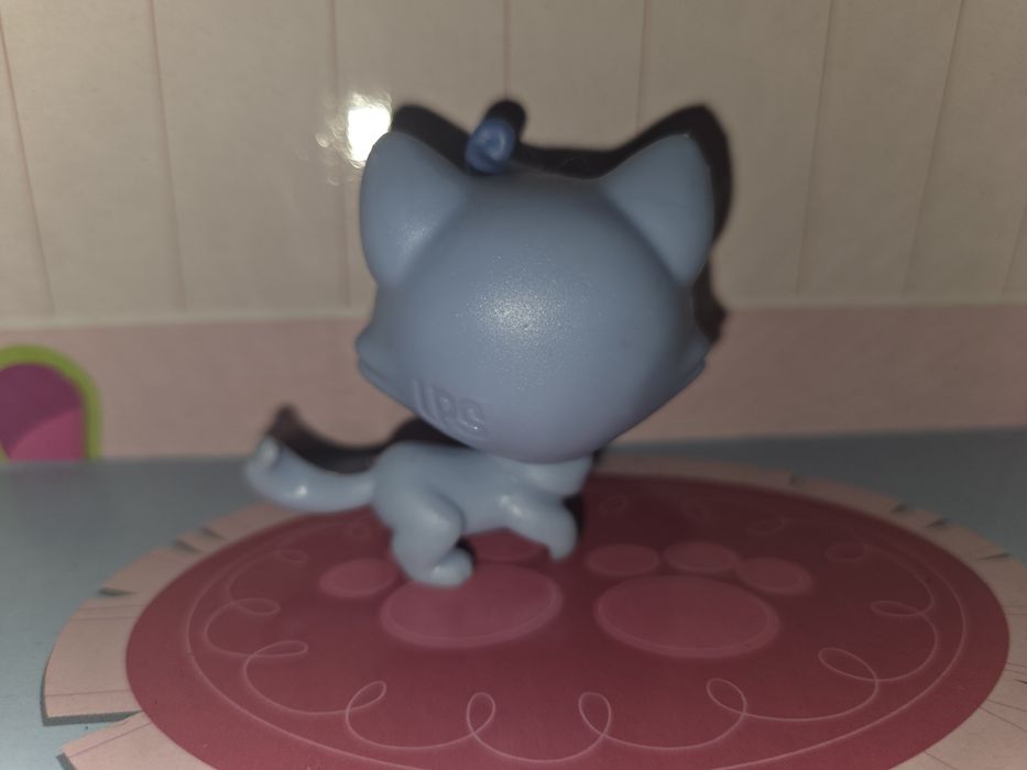 LPS kot Lucky Fortune Crew Blue Munchkin Kitten Cat No# Aqua Eyes