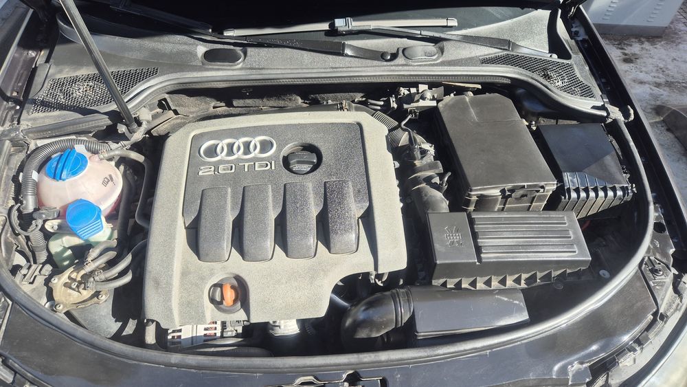 Audi A3 8P sport