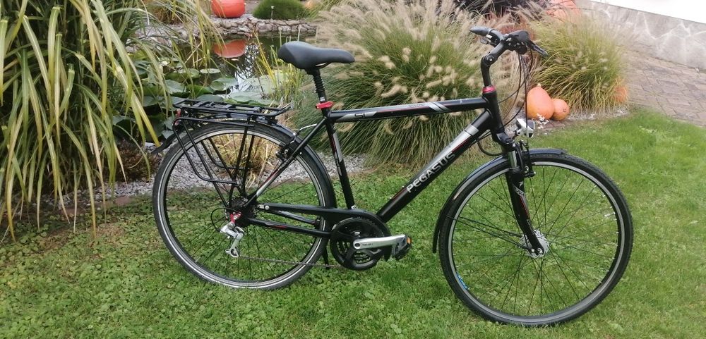 Rower Pegasus 28cali