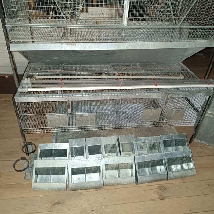 Кроляча ферма з поїлками