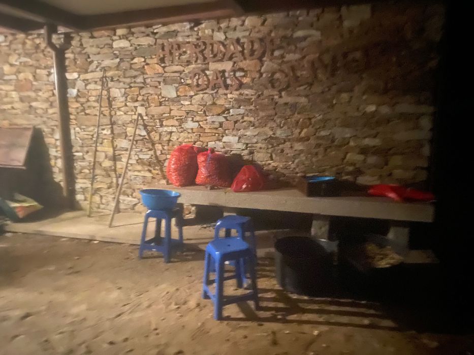 Quinta Mirandela com casa t3 em xisto e Olival