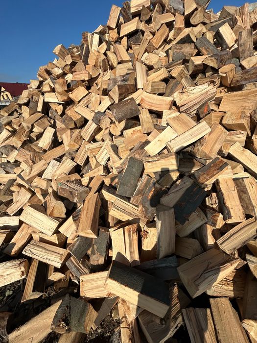 Drewno kominkowe BUK