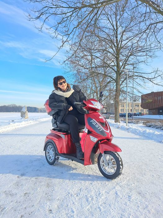 ELECTRORIDE FASTI 3 Max Trójkołowiec pas + uchwyt na kule