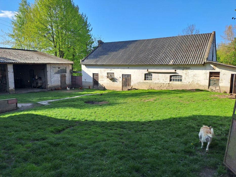 Gospodarstwo rolne z zabudowaniami i lasem 6h