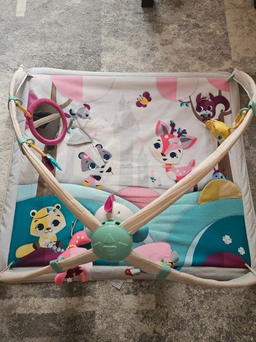 Ginásio/Tapete de atividades Tiny Love Deluxe