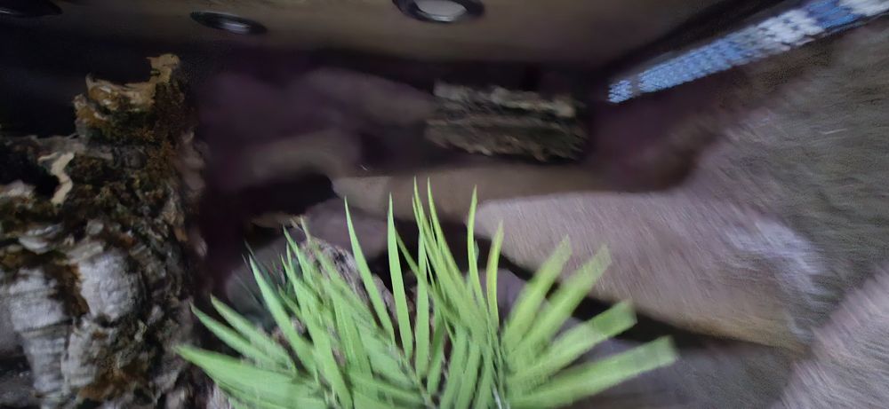 Terrarium z płyty meblowej