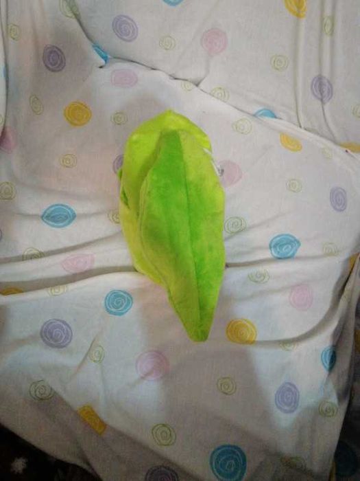 Pokémon peluche chikorita