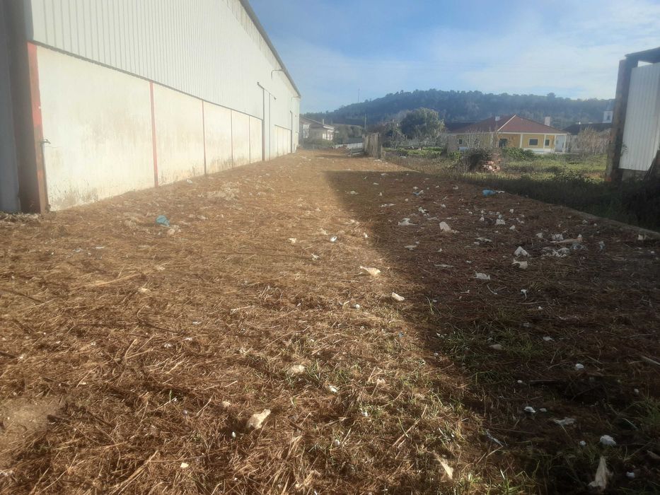 Armazem em Alcanede com 1300 m2 + 200 m2 de logradouro  e 7m de pé direito para alugar !