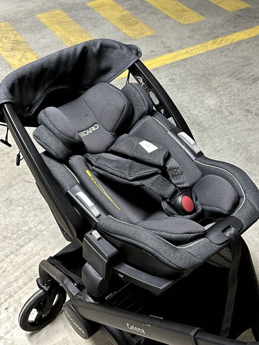 Recaro: Carrinho Passeio + Ovo + Alcofa + Capa para a chuva