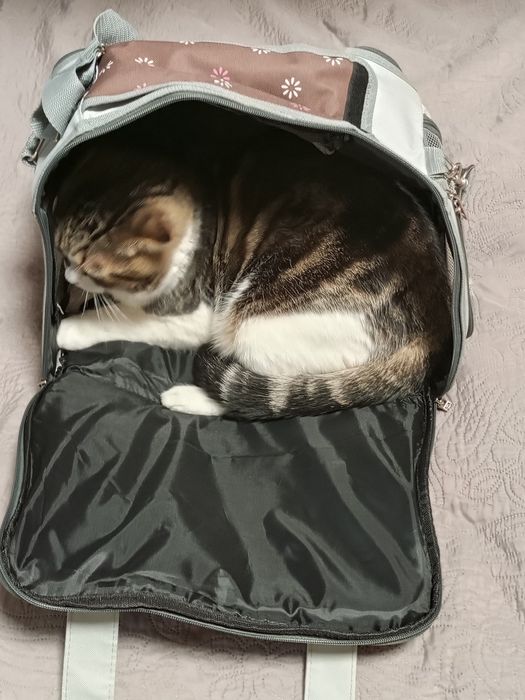Сумка переноска для котов и собачек
