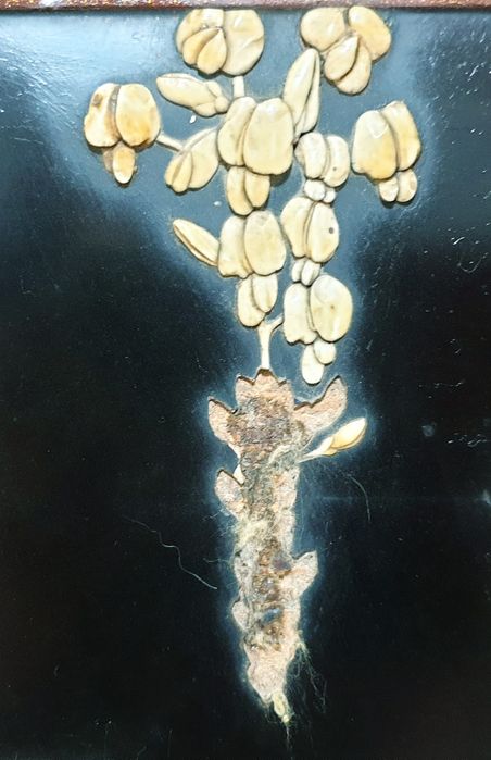 Lindissimo antigo tabuleiro asiático em charão embutidos preciosos