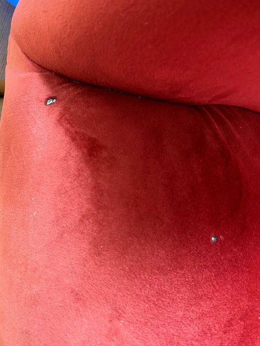 Poltrona em veludo vermelho/bordô