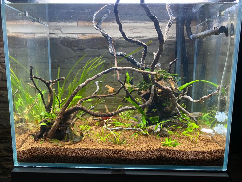 Carbo Co2 nawóz roślin akwarium nawozy