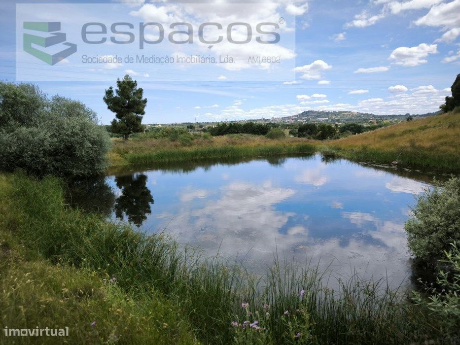 Plot of land with a pond located 2 km from Castelo Branco