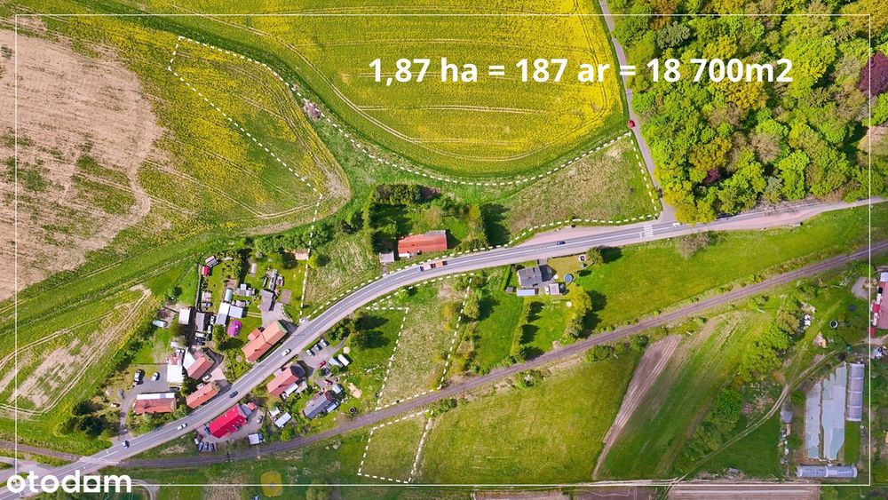 Dom z dużym terenem na Pogórzu Izerskim / Lubań / Leśna