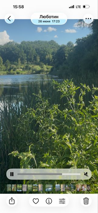 Сдам дом Люботин  Водяное речка пруд лес отдых