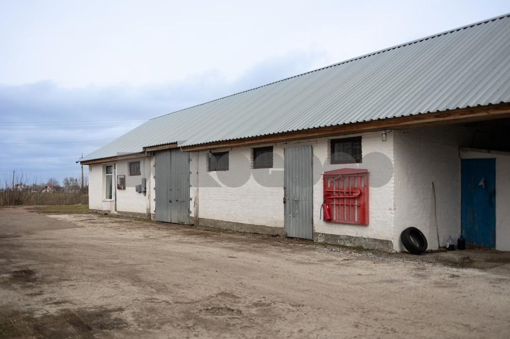 Продаж готового бізнесу, завод, Фастівський район