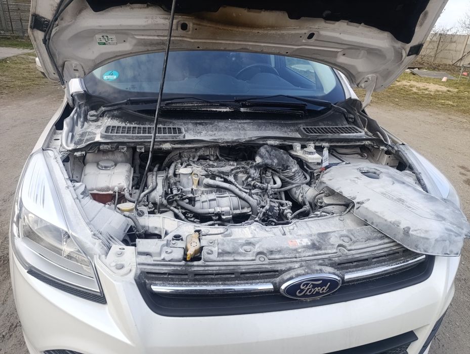 Ford Kuga 2014, benzyna 1.6 Ecoboost