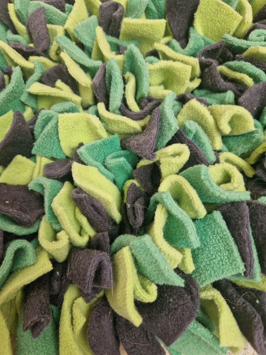 Mata węchowa dla psa