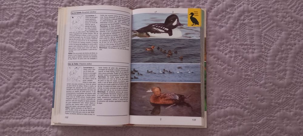 Aves Aquáticas - Frieder Sauer