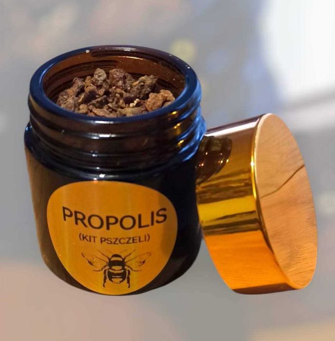 Propolis ( kit pszczeli)