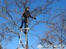 Уборка в саду после зимы , вспашка ,стрижка, покос